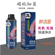 高濃縮硝化細菌