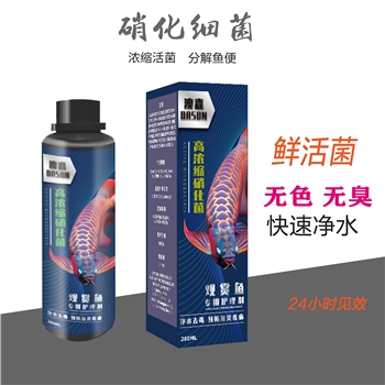 高濃縮硝化細菌